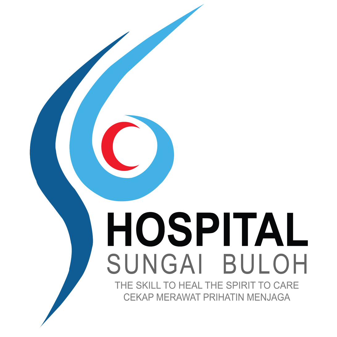 HSgB Logo